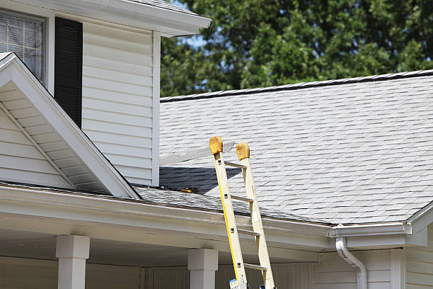 Best Siding Maintenance  in , ME